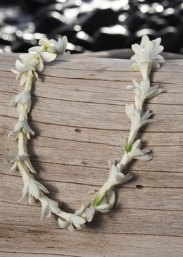 tuberose lei